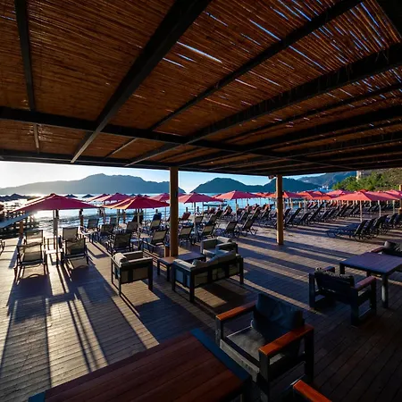 Grand Yazici Club Turban Termal 호텔 4*