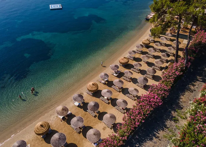 Hotel Grand Yazici Club Turban Termal 4*